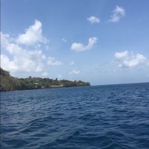 Meet your Posher, Roslyn